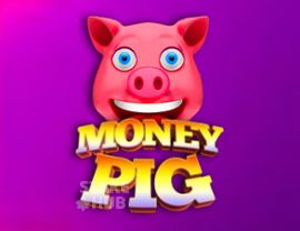 Money Pig