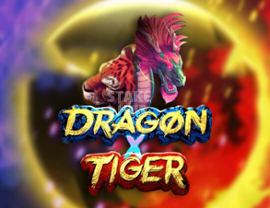 Dragon X Tiger