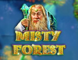 Misty Forest