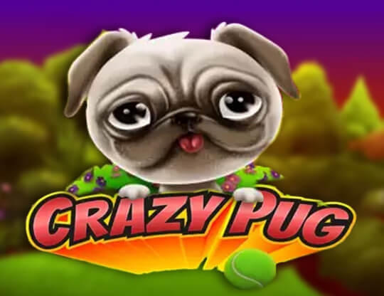 Crazy Pug