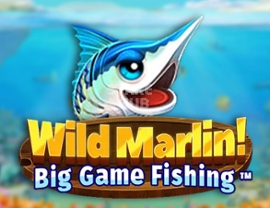Wild Marlin Big Game Fishing