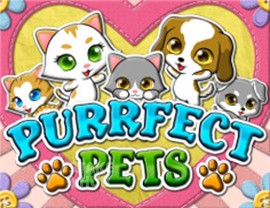 Purrfect Pets