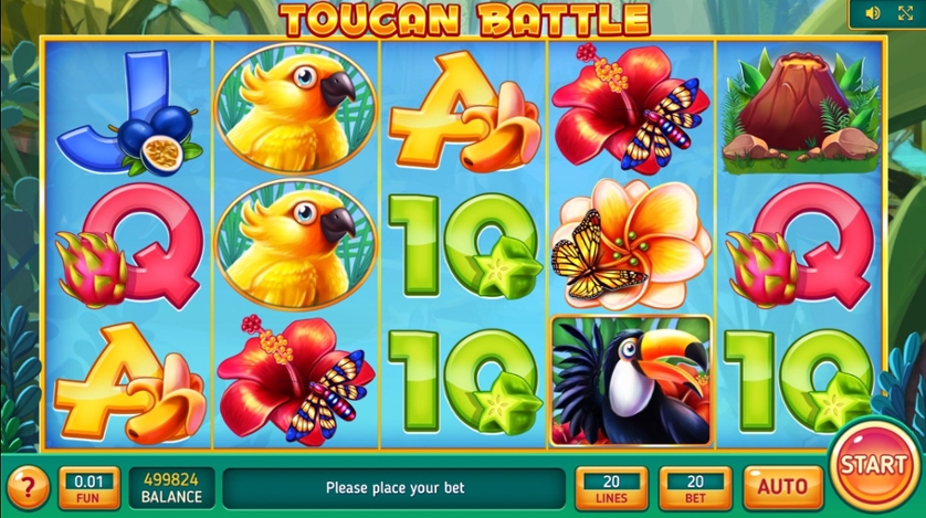 Toucan Battle.jpg