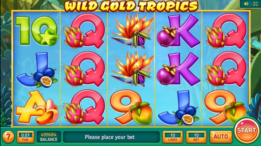 Wild Gold Tropics.jpg