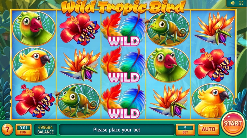 Wild Tropic Bird.jpg