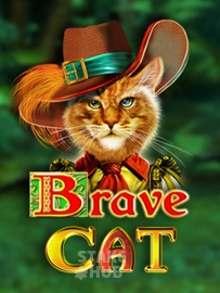 Brave Cat