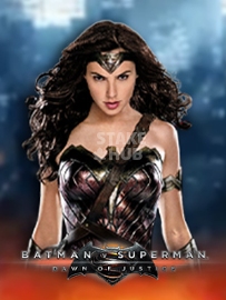 Batman vs Superman: Dawn of Justice