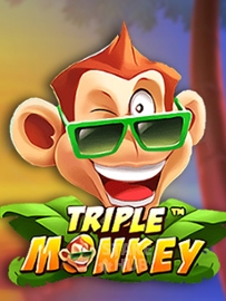 Triple Monkey