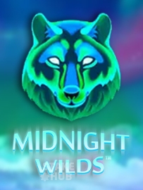 Midnight Wilds