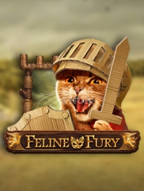 Feline Fury