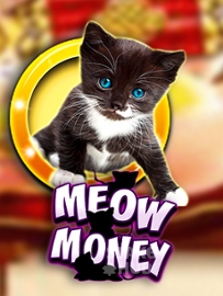 Meow Money