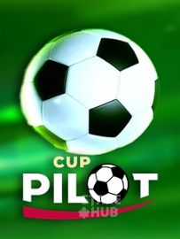 Pilot Cup