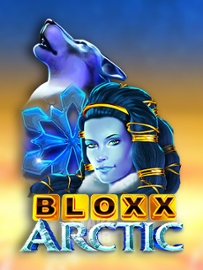 Bloxx Arctic