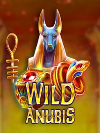 Wild Anubis