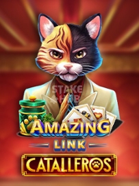 Amazing Link Catalleros
