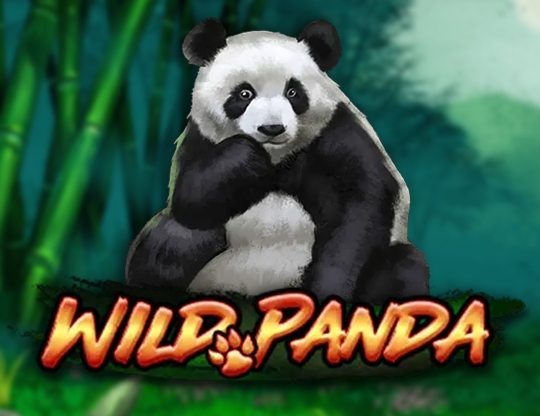Wild Panda