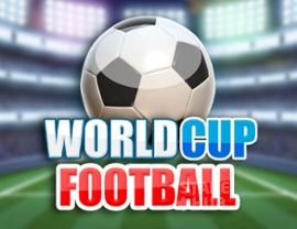 World Cup Football