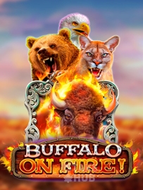 Buffalo on Fire!