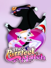The Purrfect Match