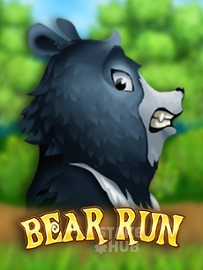 Bear Run