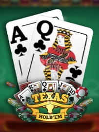 Texas Hold 'Em (Platipus)