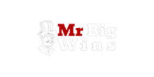 Mr Big Wins Casino
