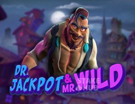 Dr. Jackpot & Mr. Wild