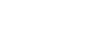 Playzee Casino Logo