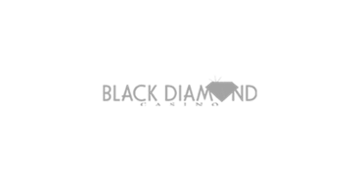 BlackDiamondCasino Logo