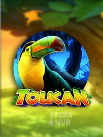 Toucan