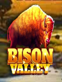 Bison Valley