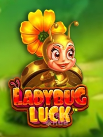 Ladybug Luck