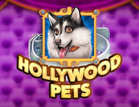 Hollywood Pets