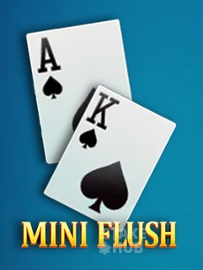 Mini Flush