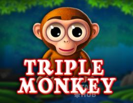 Triple Monkey