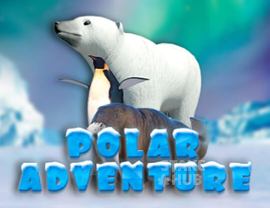 Polar Adventure