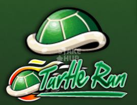 Turtle Run