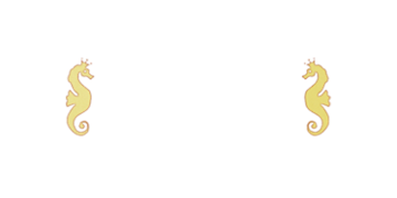 Casino Cruise Logo
