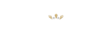 Exclusive Casino Logo