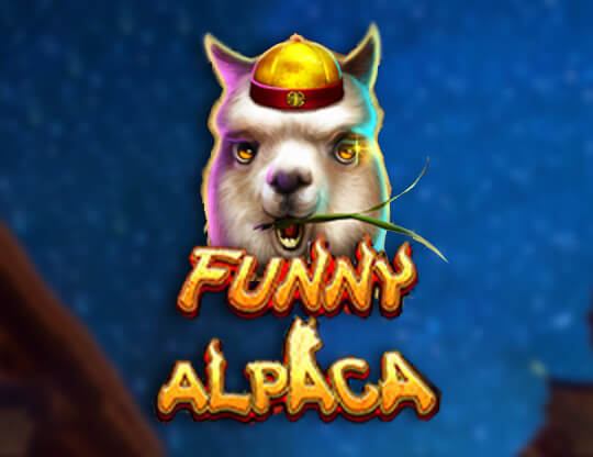 Funny Alpaca