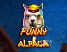 Funny Alpaca