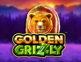 Golden Grizzly