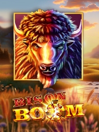 Bison Boom
