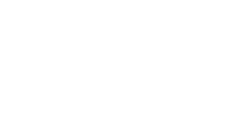 VIP Spins Casino Logo