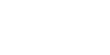 Wild Spins Casino Logo