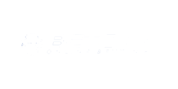 Betcity.net Casino Logo