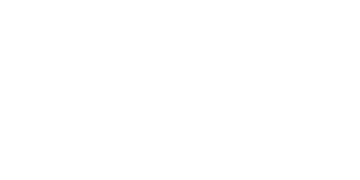 Phoenix365 Casino Logo
