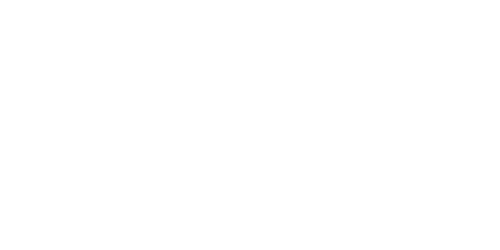 MrPunter Casino Logo